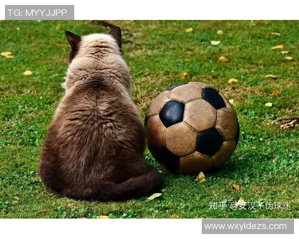 中部海岸与西悉尼精彩对决直播全程回顾与分析